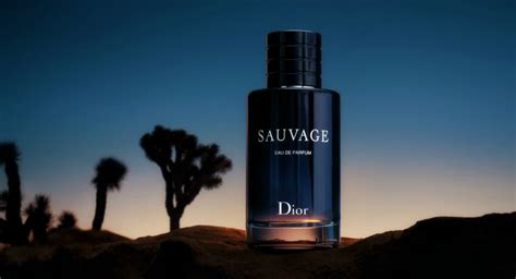 dior 2018|Dior sauvage discount.